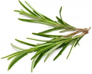 rosemary2