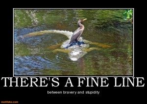 theres-fine-line-alligator-bird-demotivational-posters-1350350347