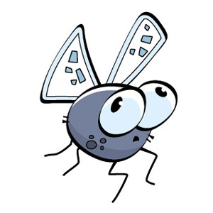 057f3_Facebook_tips_cartoonbug_fly