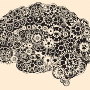 brain-with-gears